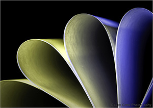 Coloured Curves